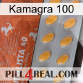 Kamagra 100 43